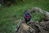 Forged Carbon Armour with Watch (Purple)